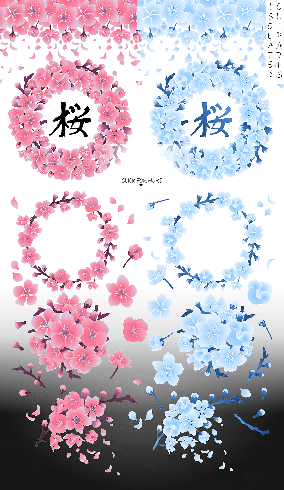 Vector cherry blossom collection