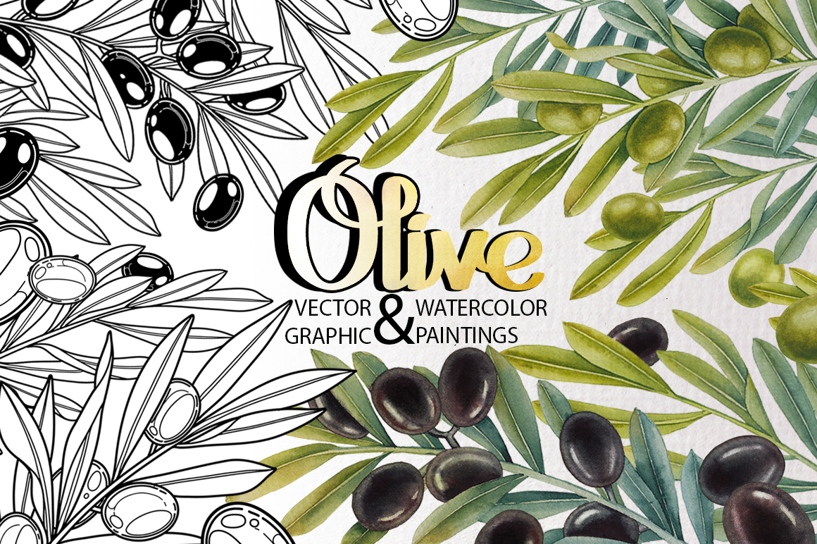 Graphic and watercolor olive plants