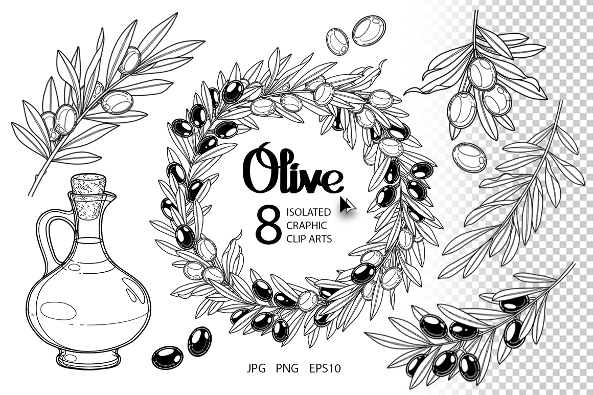 Graphic and watercolor olive plants