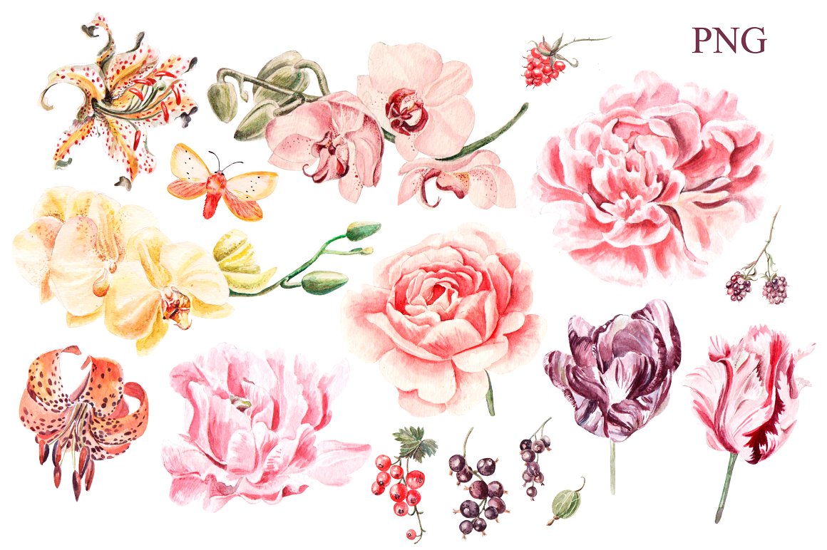 Beautiful watercolor flowers