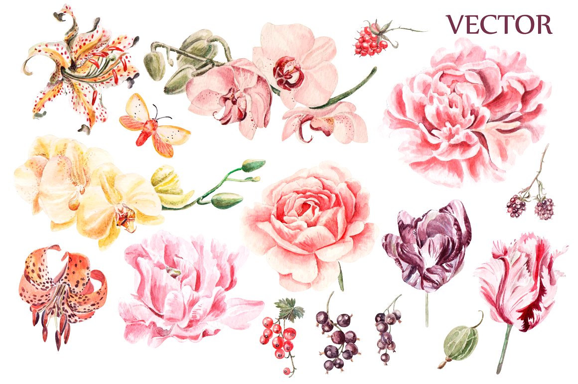 Beautiful watercolor flowers