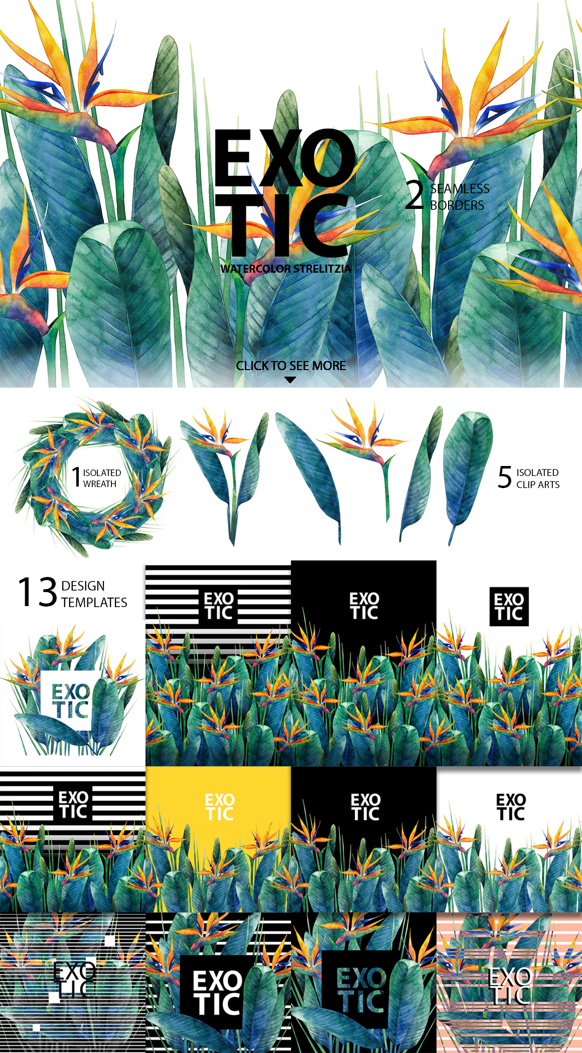 Watercolor strelitzia collection Watercolor strelitzia collection