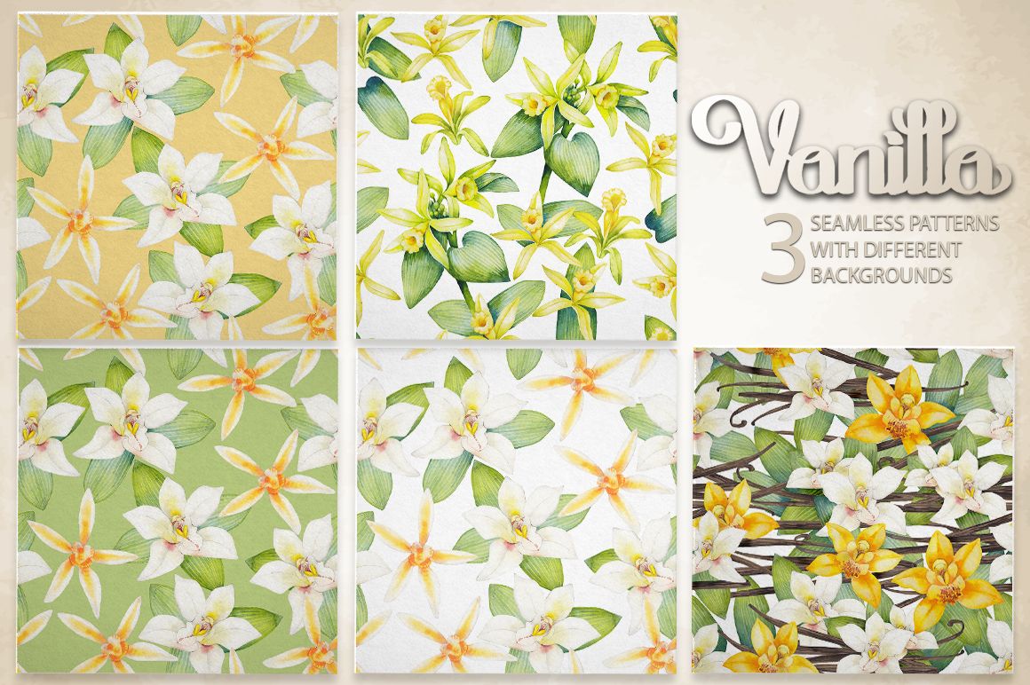 Graphic and watercolor vanilla