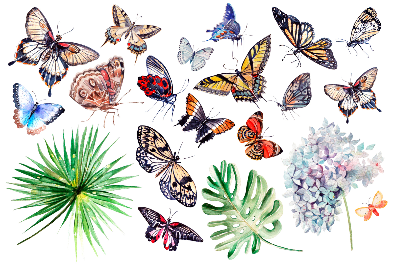 Beautiful watercolor butterflies Beautiful watercolor butterflies