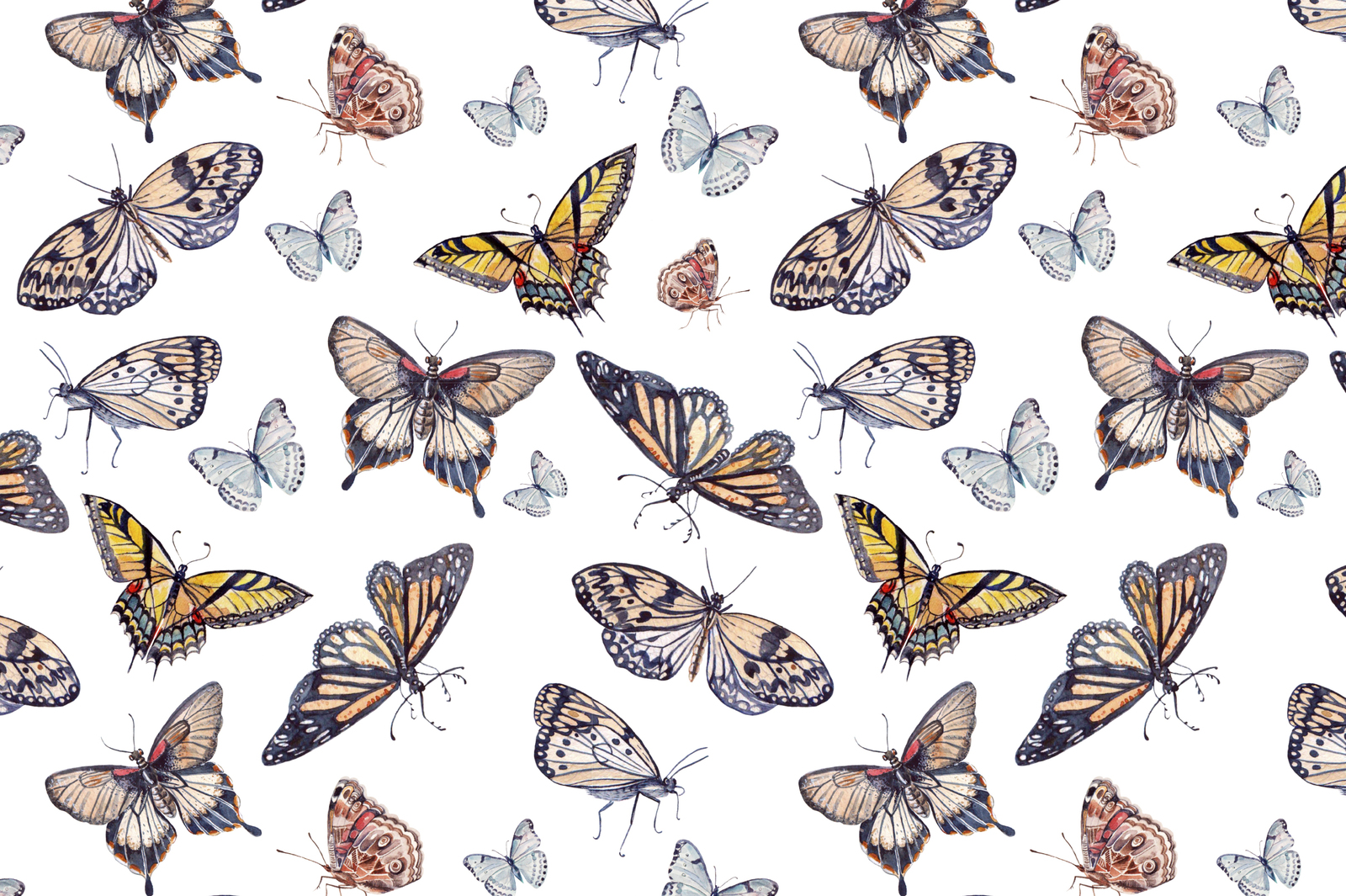 Beautiful watercolor butterflies Beautiful watercolor butterflies