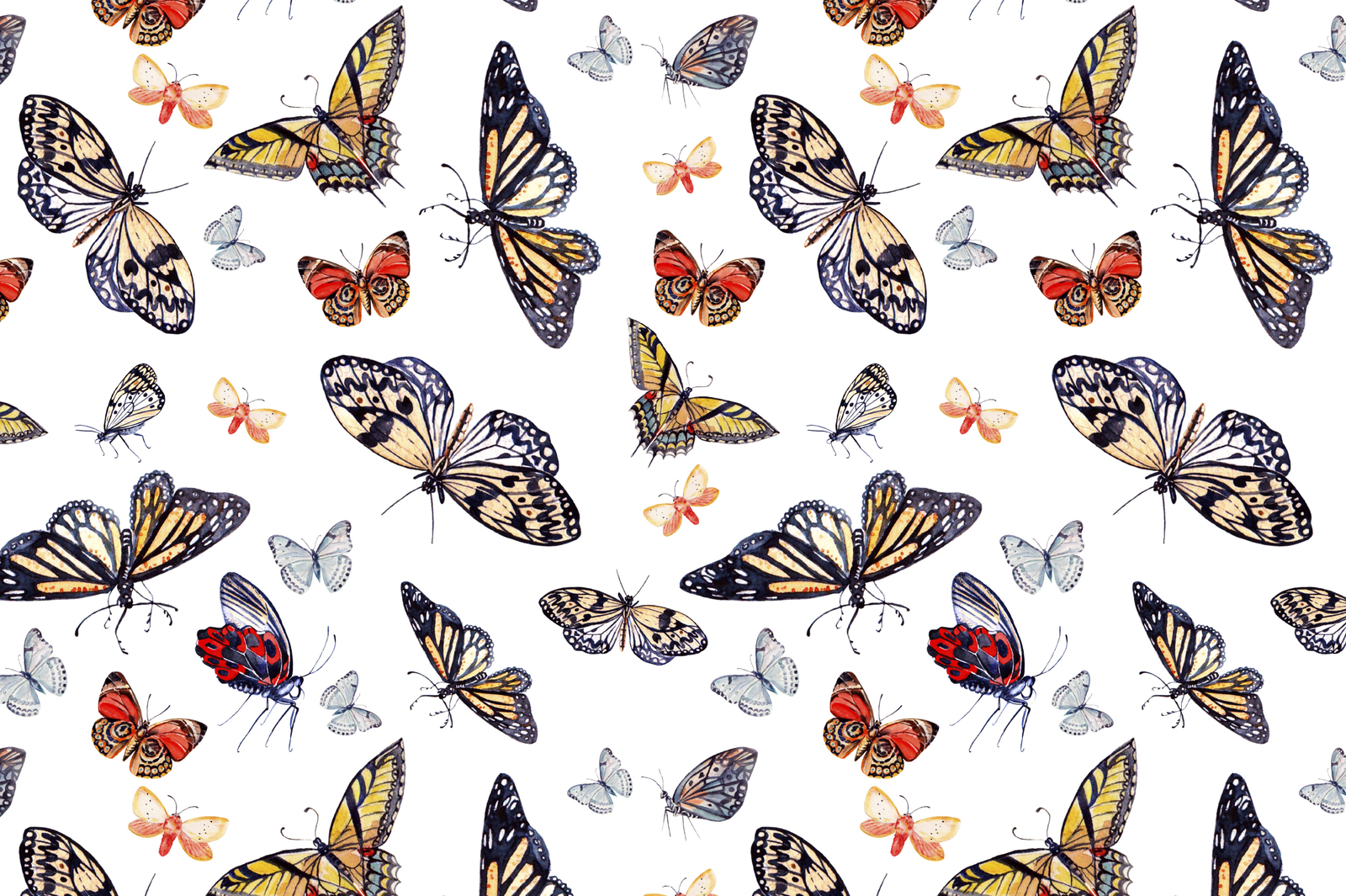 Beautiful watercolor butterflies