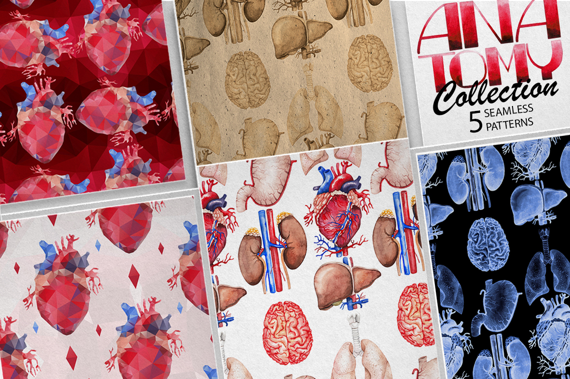 Watercolor human organs Watercolor human organs