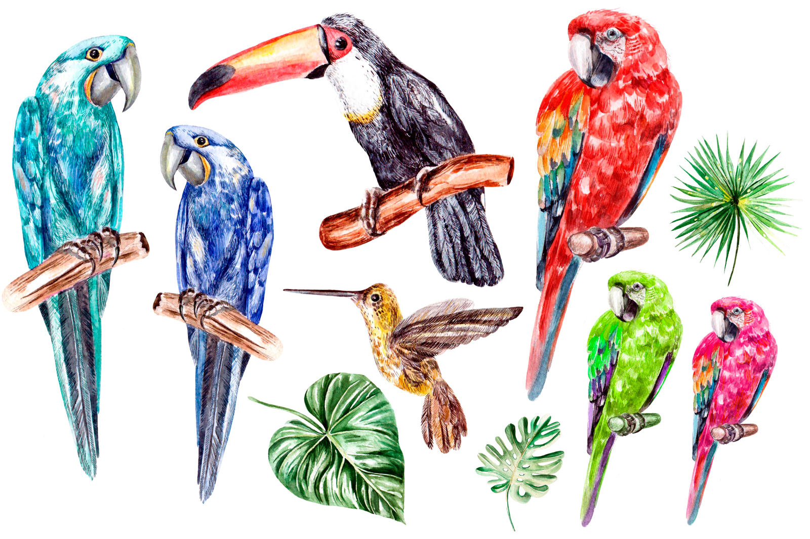 Hand Drawn watercolor TROPICS Hand Drawn watercolor TROPICS