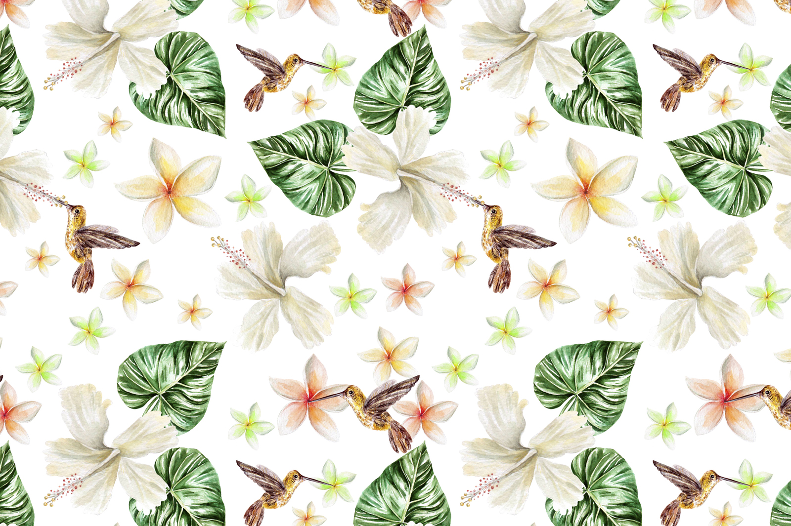 Hand Drawn watercolor TROPICS Hand Drawn watercolor TROPICS