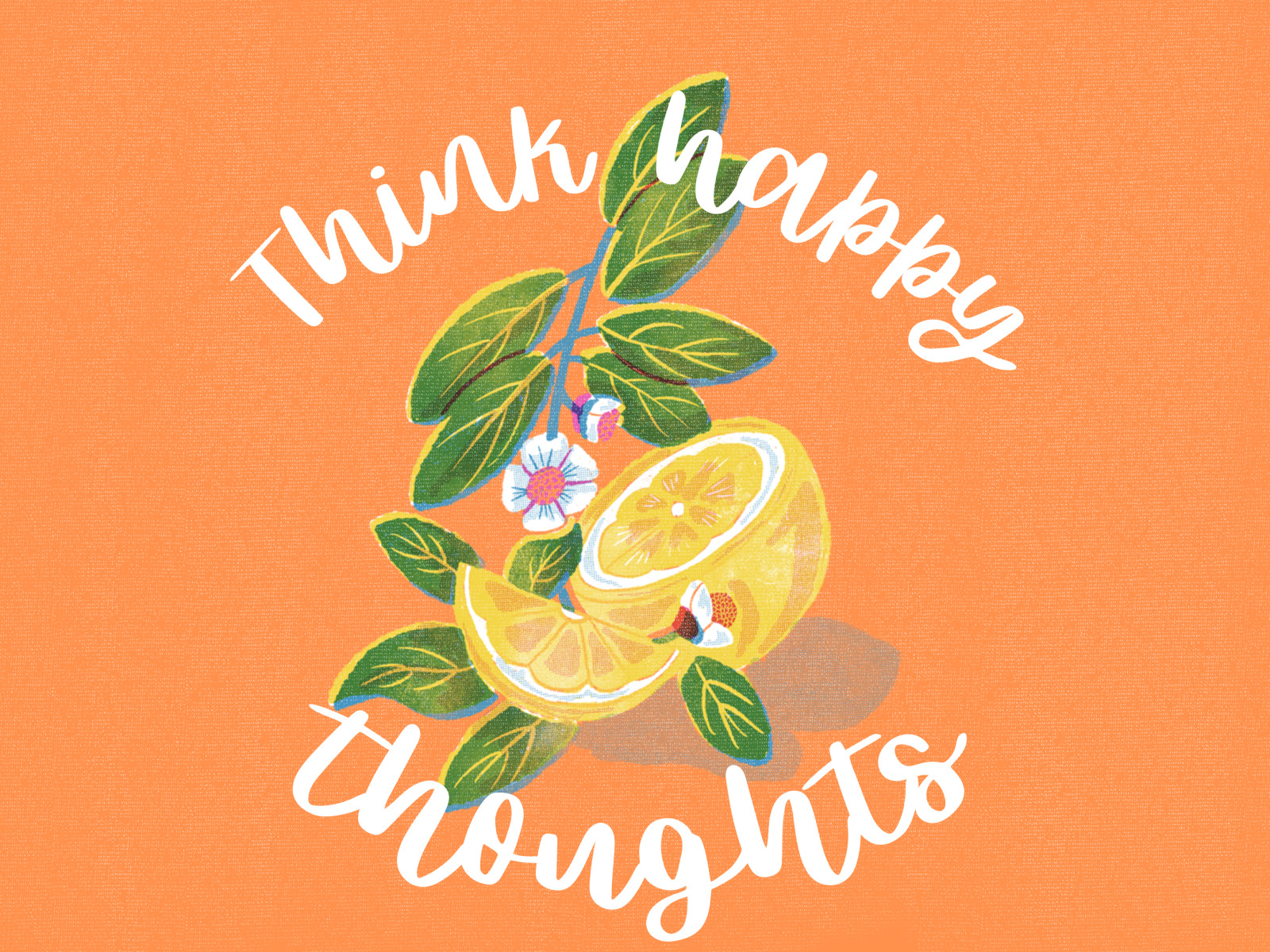 Pink Lemonade Calligraphy Font Pink Lemonade Calligraphy Font