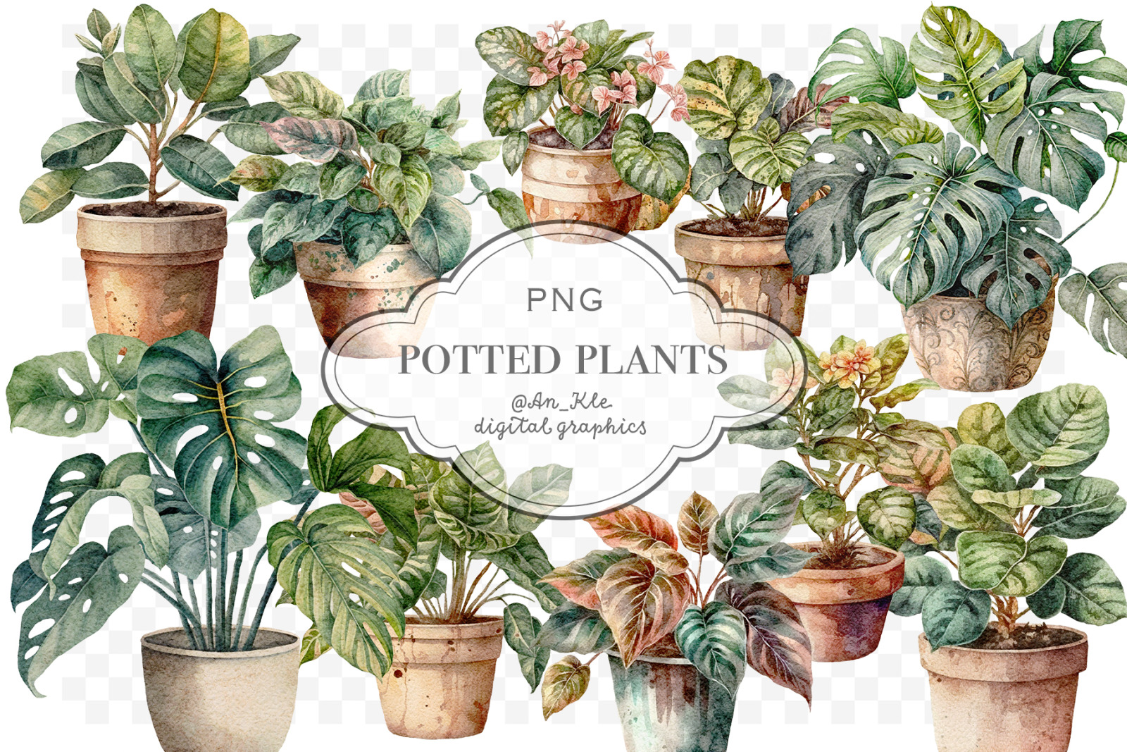 Potted plants clipart