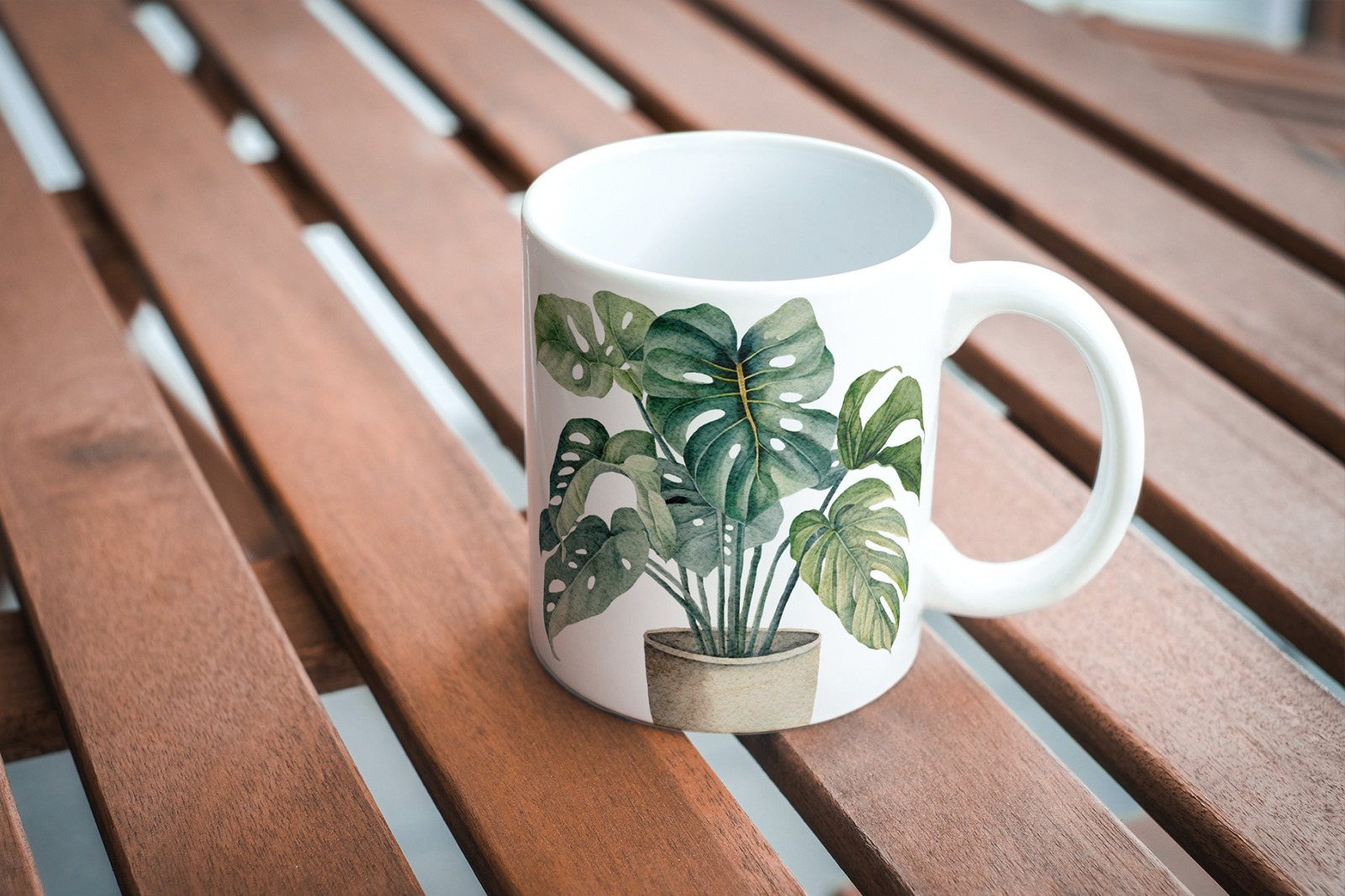 Potted plants clipart Potted plants clipart