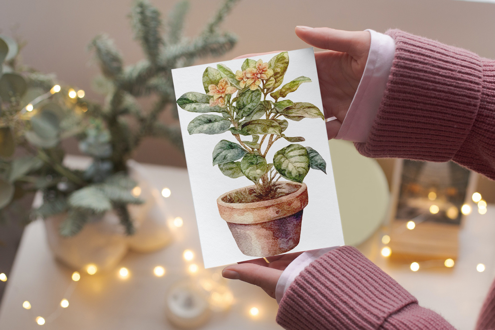 Potted plants clipart