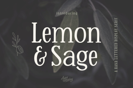 Lemon And Sage | A Hand Lettered Display Serif Font - Quirky fonts