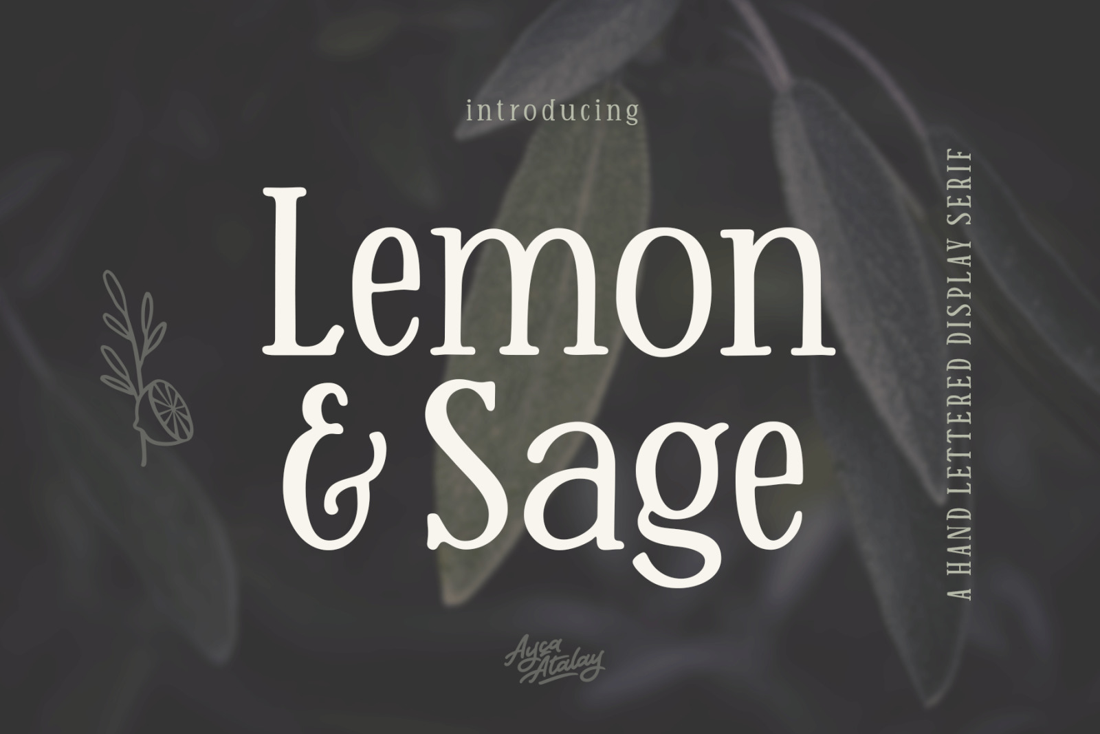 Lemon And Sage | A Hand Lettered Display Serif Font Lemon And Sage | A Hand Lettered Display Serif Font
