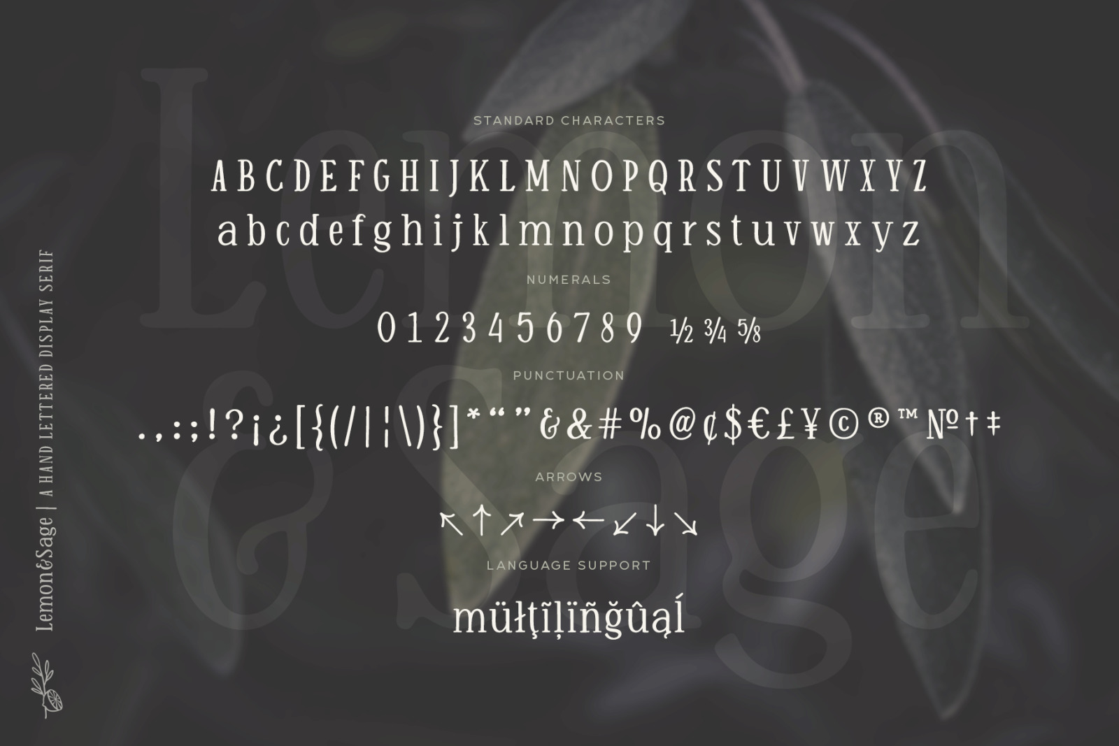 Lemon And Sage | A Hand Lettered Display Serif Font Lemon And Sage | A Hand Lettered Display Serif Font