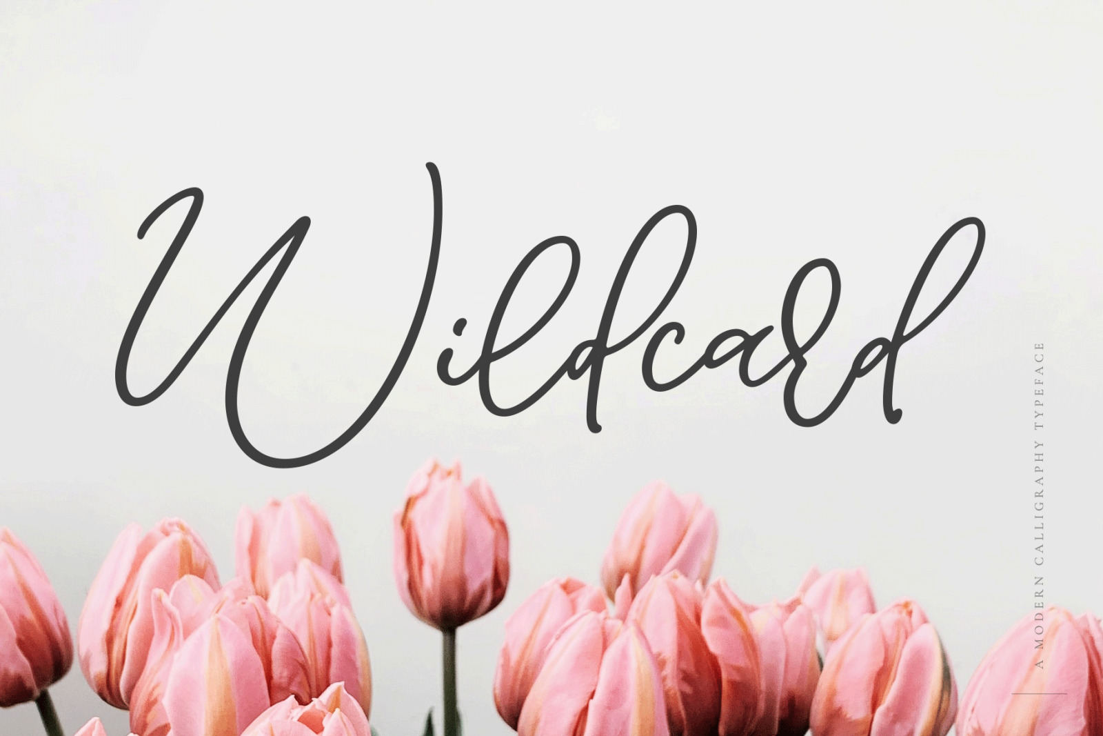 Wildcard | A Modern Calligraphy Script Font Wildcard | A Modern Calligraphy Script Font