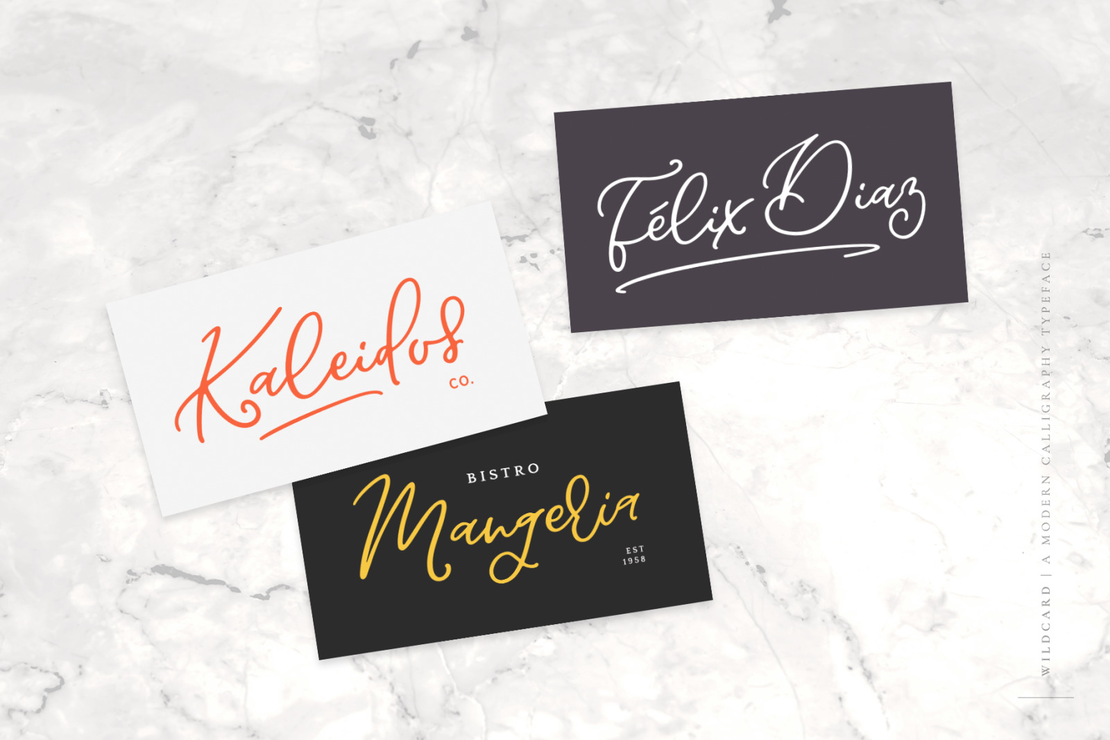 Wildcard | A Modern Calligraphy Script Font Wildcard | A Modern Calligraphy Script Font