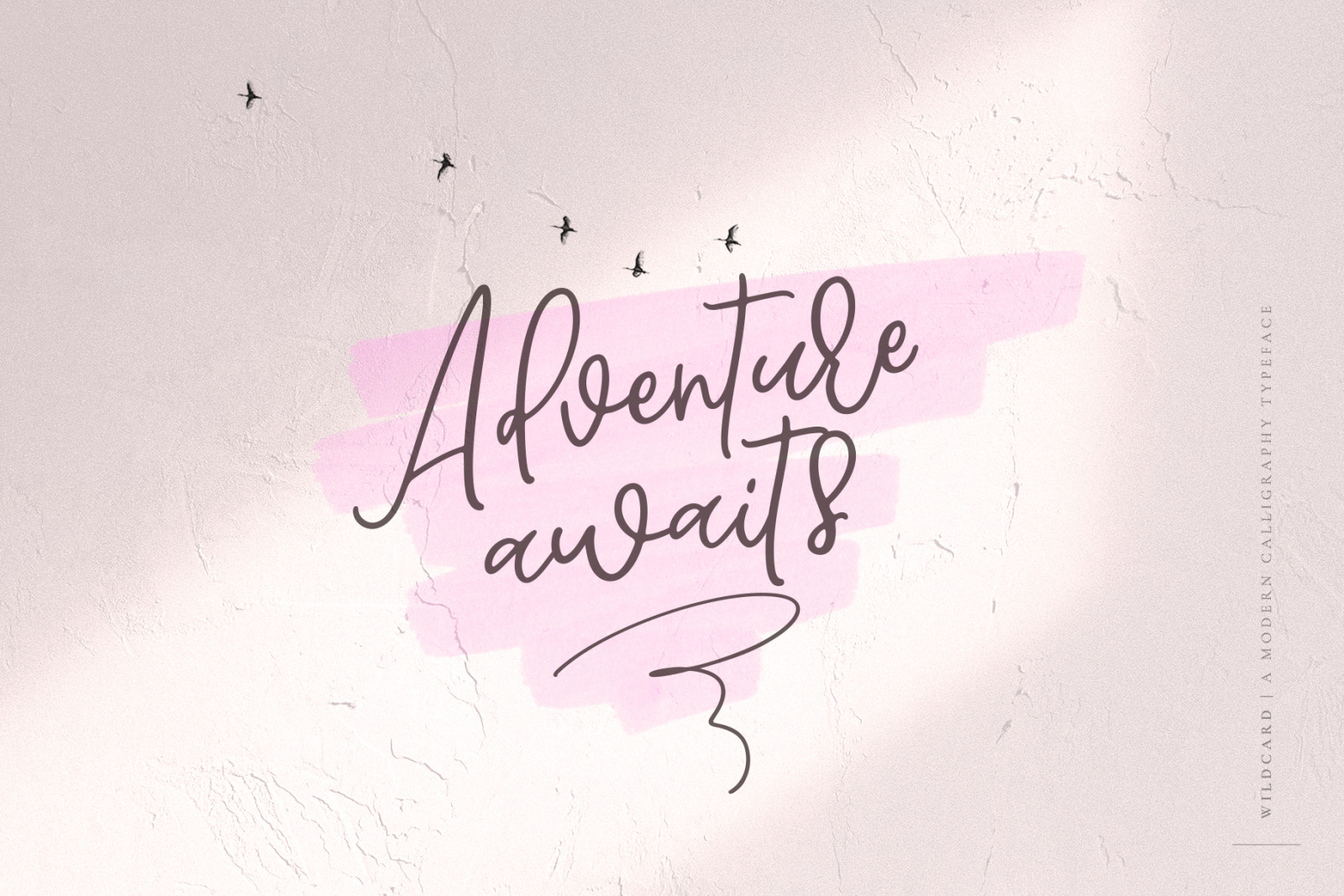 Wildcard | A Modern Calligraphy Script Font Wildcard | A Modern Calligraphy Script Font