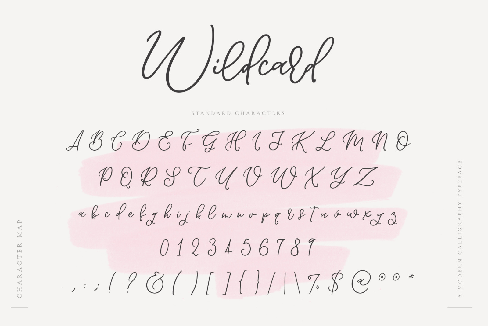 Wildcard | A Modern Calligraphy Script Font Wildcard | A Modern Calligraphy Script Font