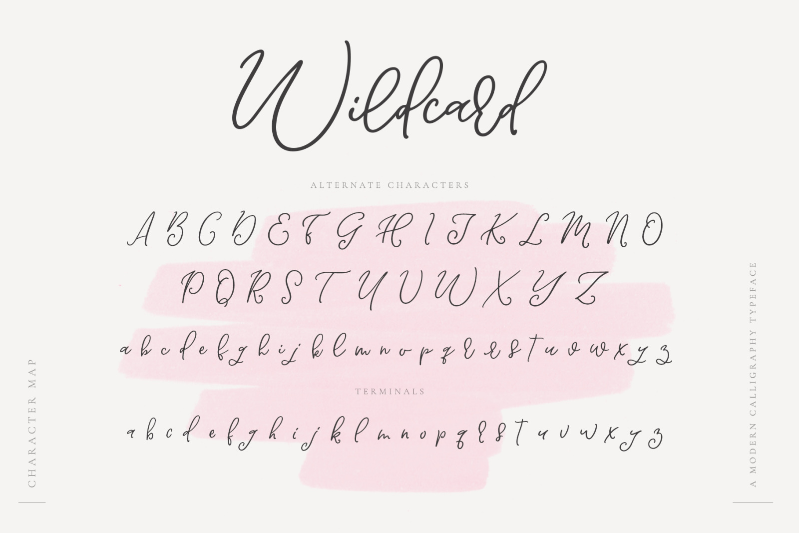 Wildcard | A Modern Calligraphy Script Font Wildcard | A Modern Calligraphy Script Font