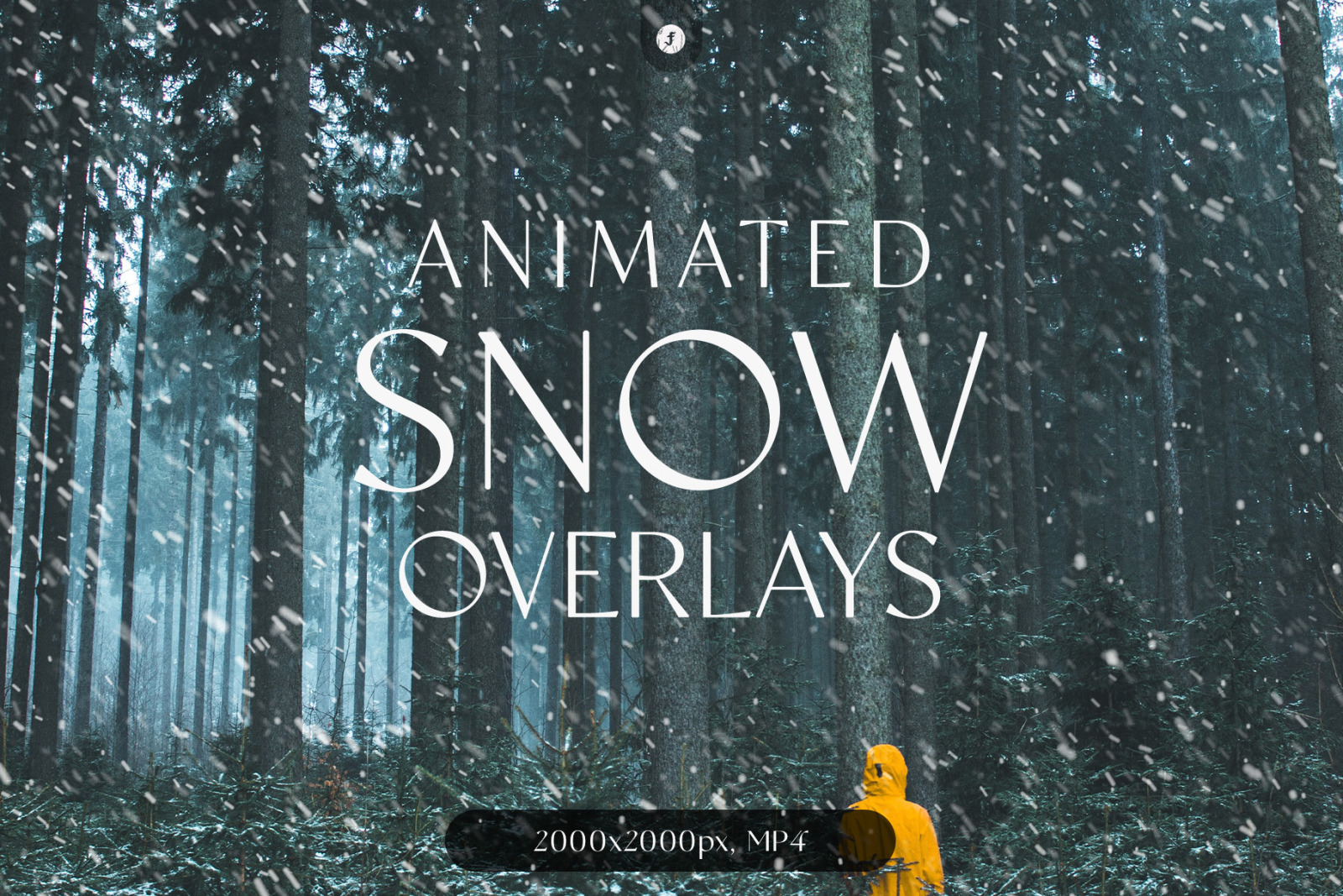 Animated Snow Overlays