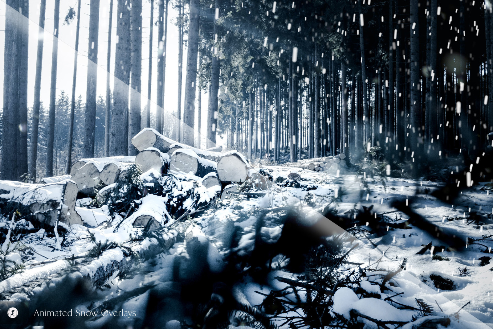 Animated Snow Overlays