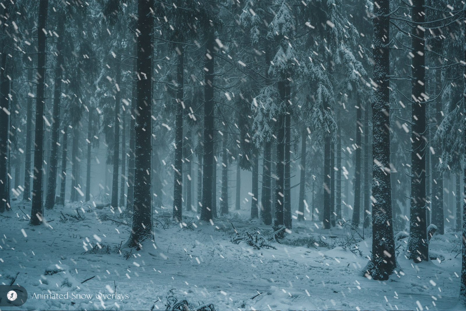 Animated Snow Overlays