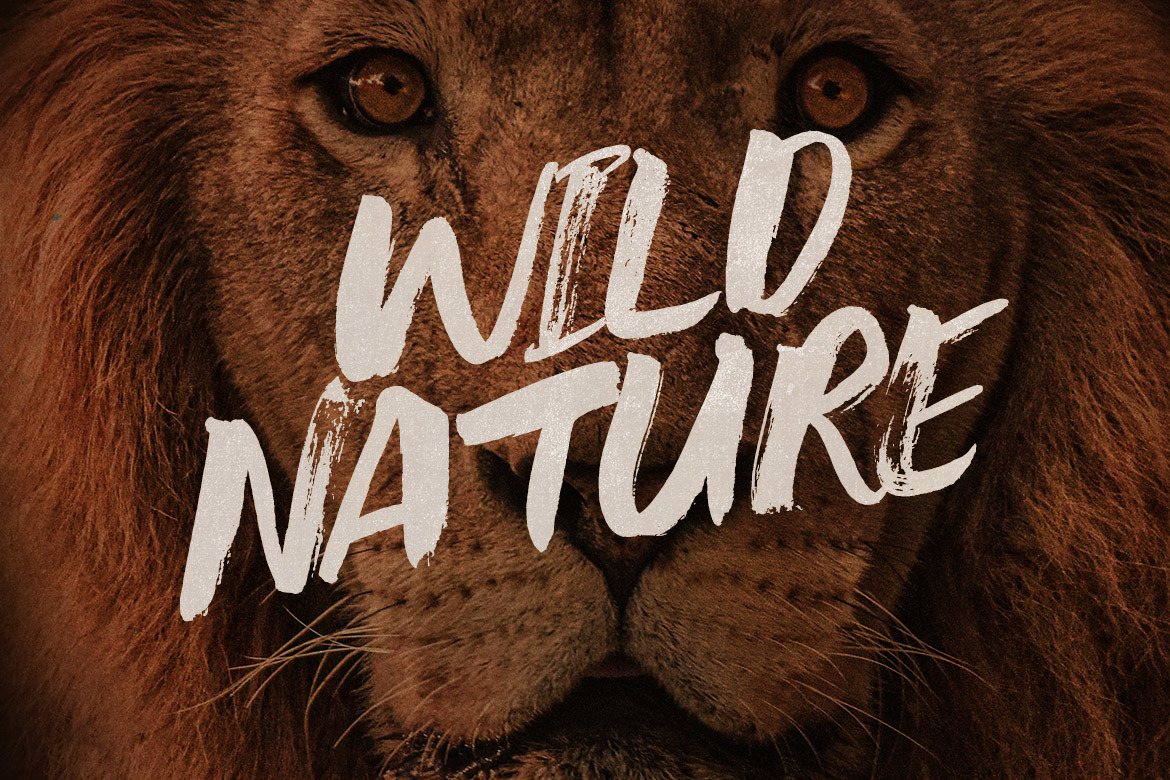 Broken Bold Brush Font Broken Bold Brush Font