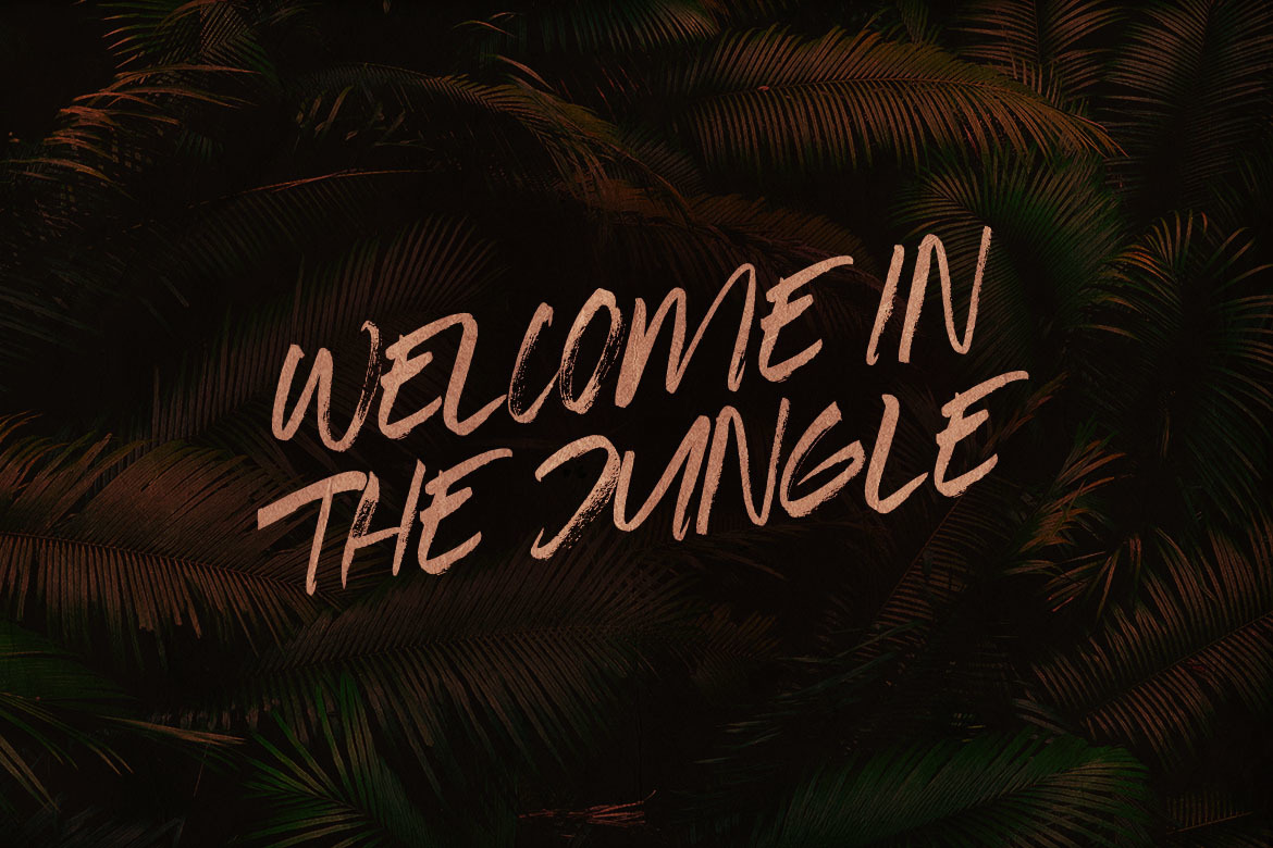Sabrina Brush Font Sabrina Brush Font