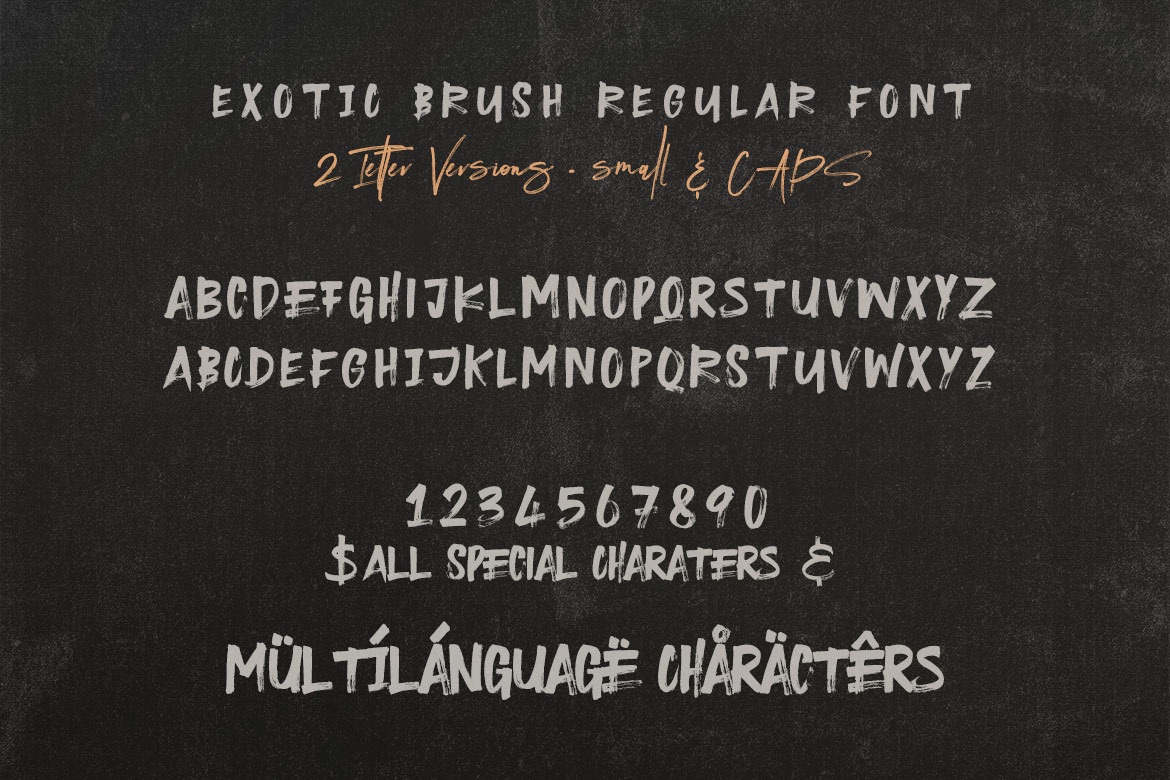 Exotic Brush & SVG Font Exotic Brush & SVG Font
