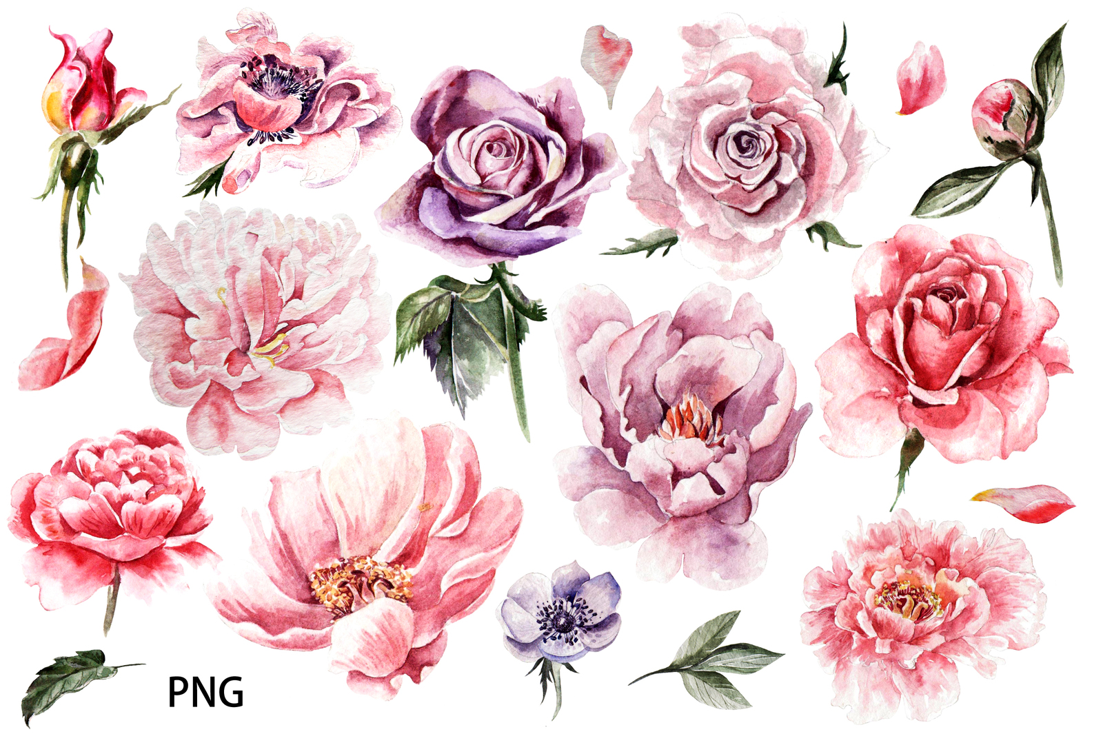 Beautiful watercolor flowers