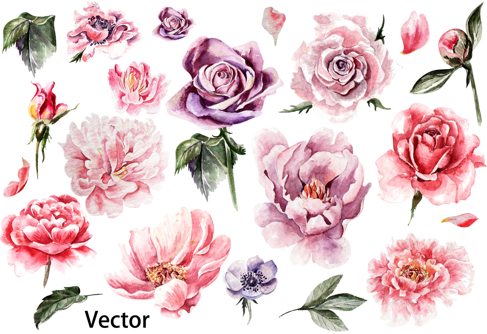 Beautiful watercolor flowers