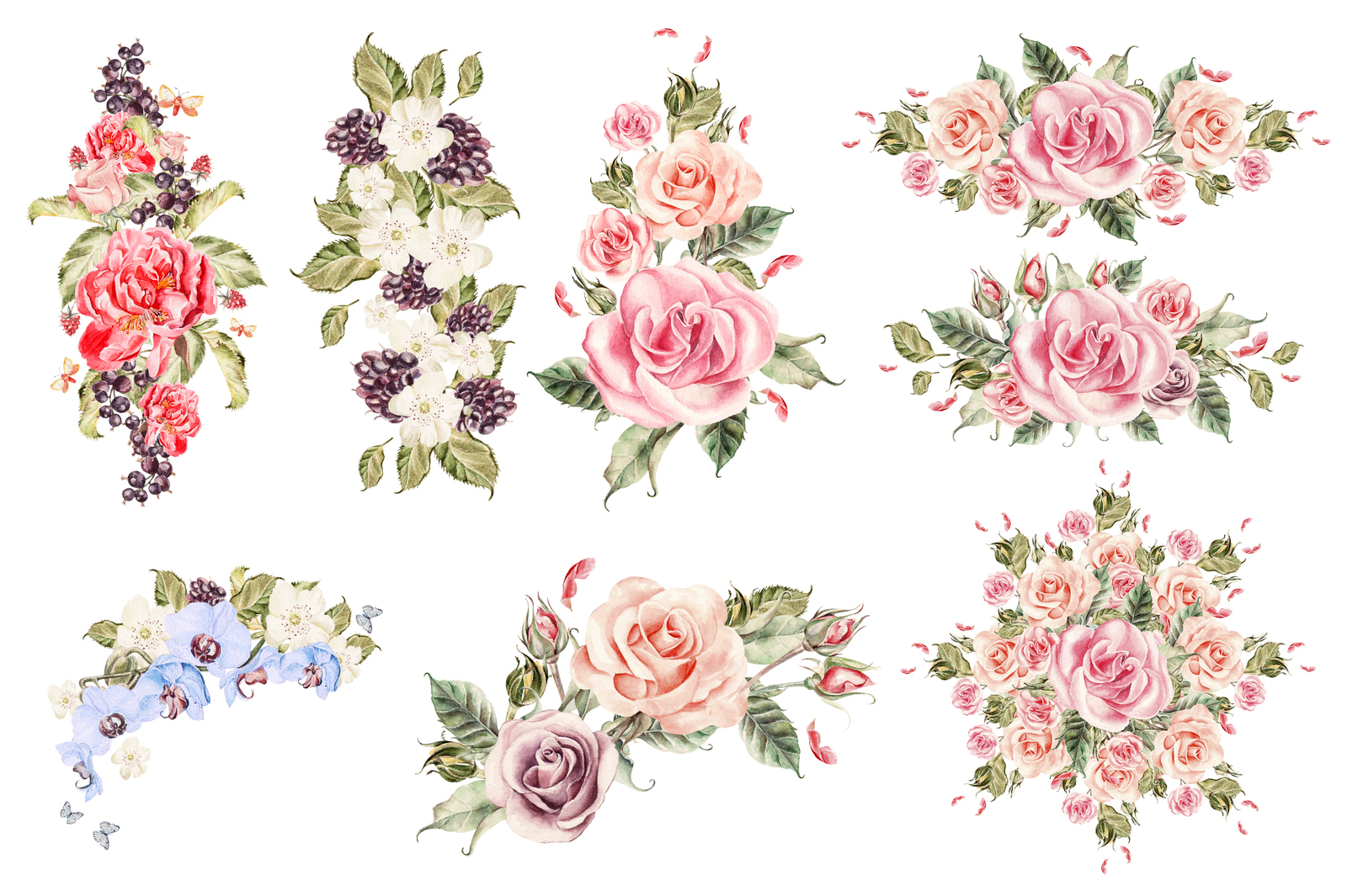 watercolor ELEMENTS and WREATH watercolor ELEMENTS and WREATH
