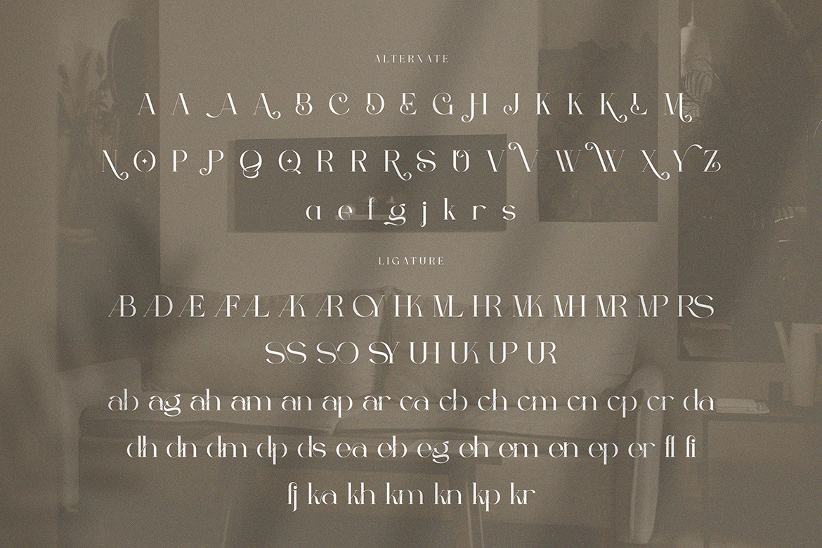 Berfilem - Editorial Display Serif