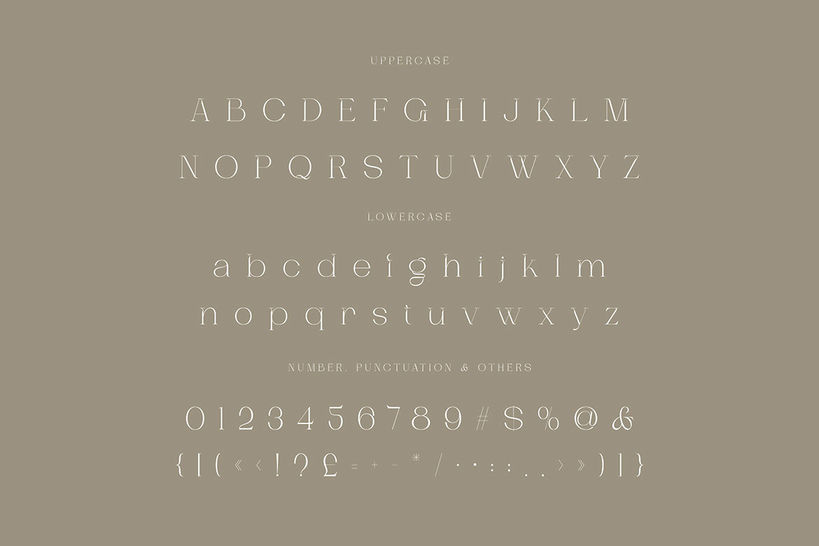 Dagstam - Artistic Serif Font