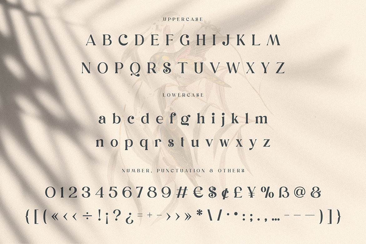 Dunsmuir - Modern Serif Font Dunsmuir - Modern Serif Font