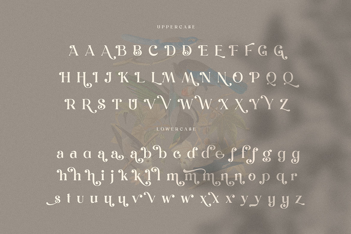 Dunsmuir - Modern Serif Font Dunsmuir - Modern Serif Font