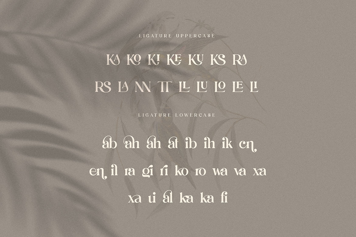 Dunsmuir - Modern Serif Font Dunsmuir - Modern Serif Font