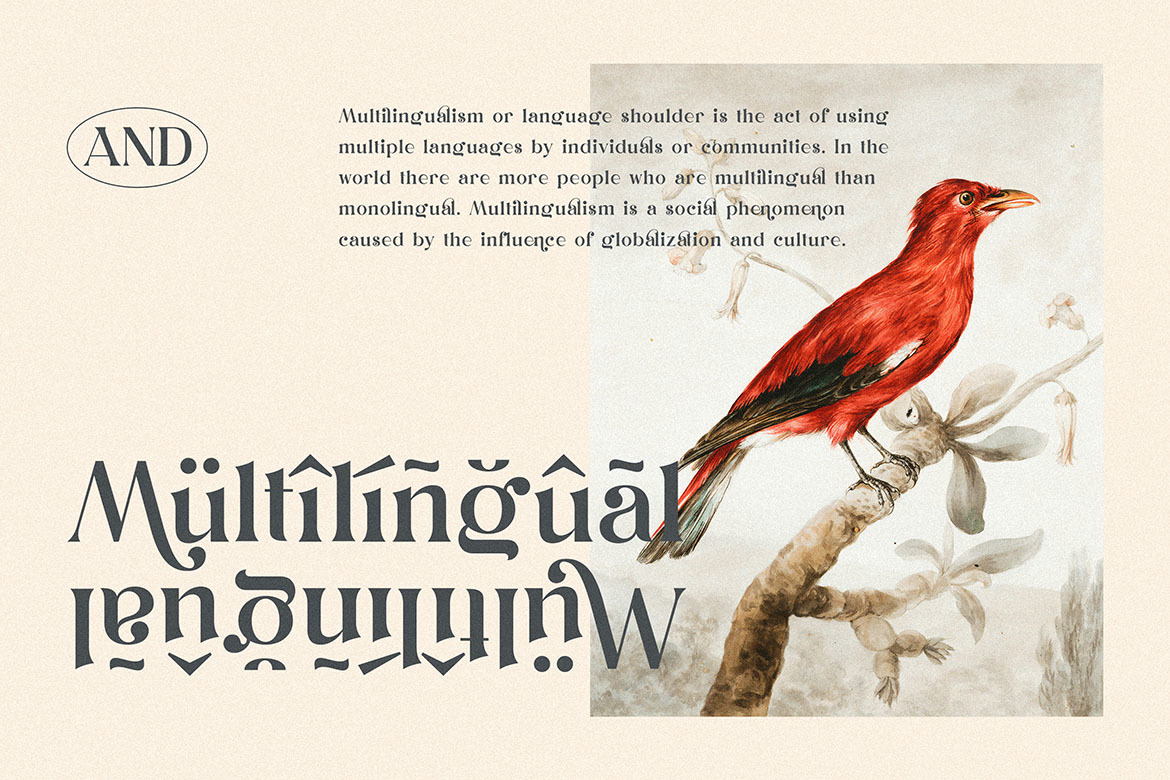 Dunsmuir - Modern Serif Font Dunsmuir - Modern Serif Font