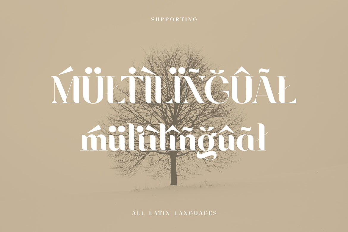 Luckenbach - Modern Serif Font Luckenbach - Modern Serif Font