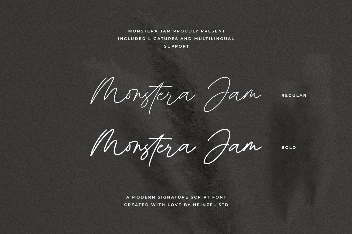 Monstera Jam Font