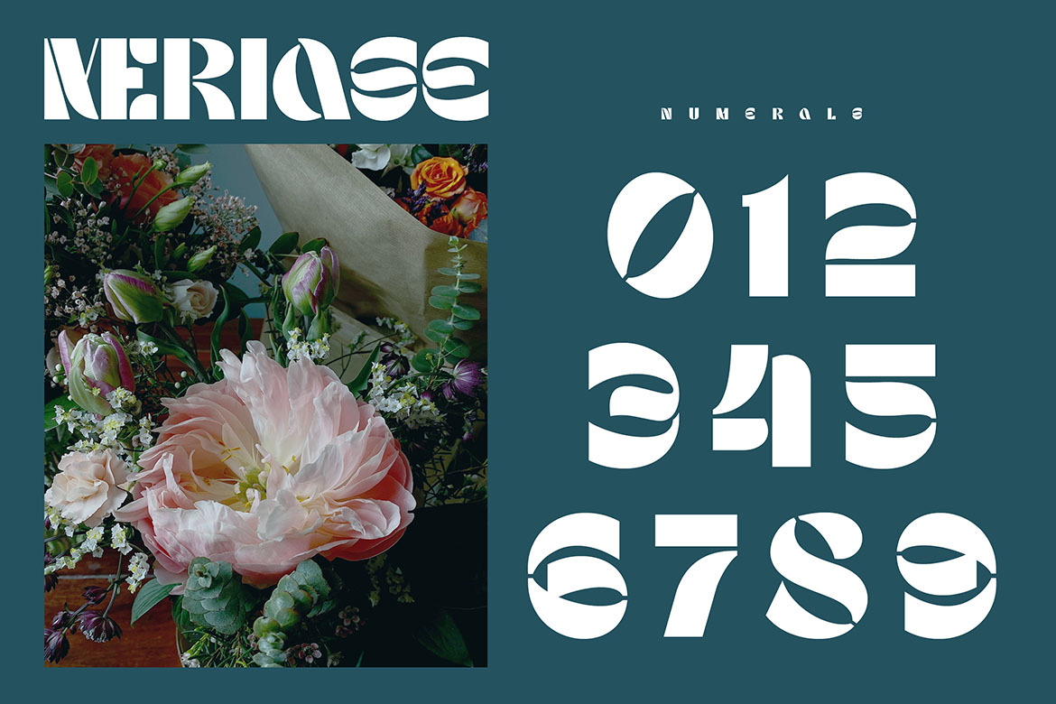 Meriase Bold Display Font Meriase Bold Display Font