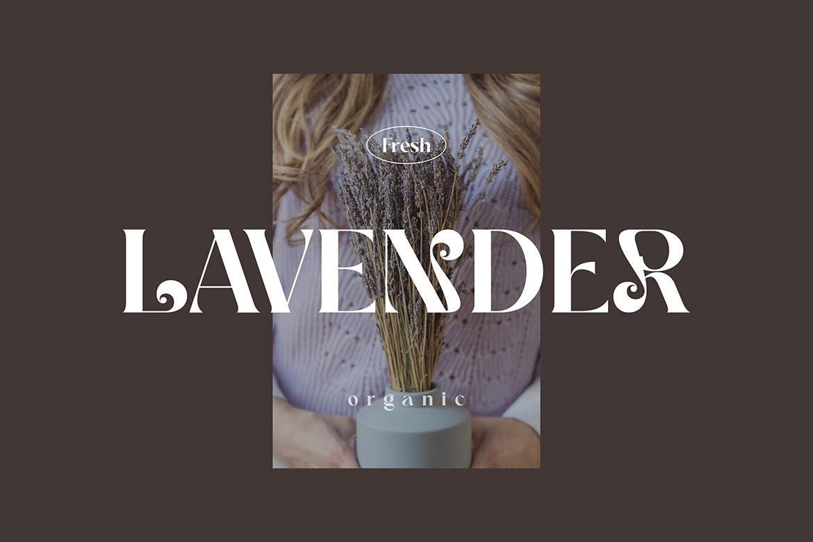 Sandra Kareny Modern Serif Sandra Kareny Modern Serif