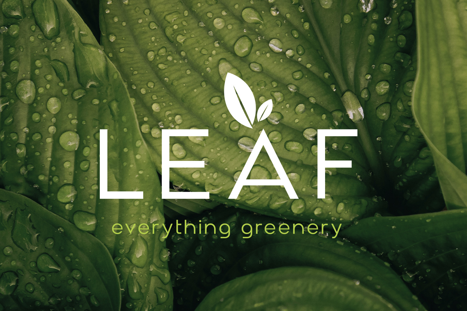 Amenti - Clean Modern Sans Amenti - Clean Modern Sans