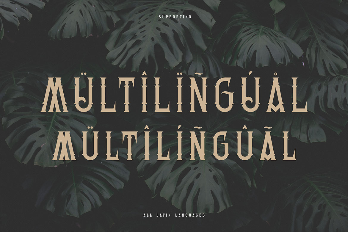 Modern Inspira Vintage Font Modern Inspira Vintage Font