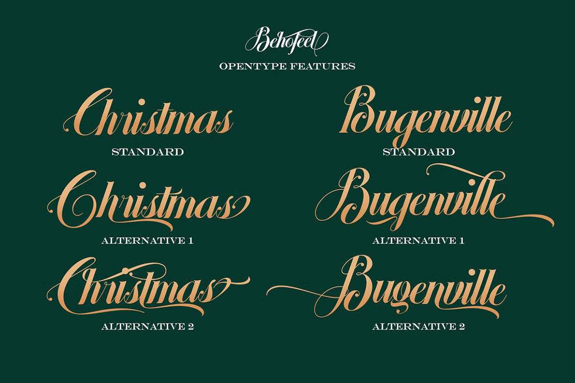 Behofeel Decorative Script Behofeel Decorative Script