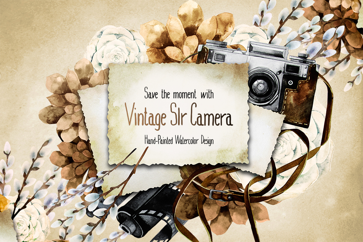 Vintage watercolor camera collection