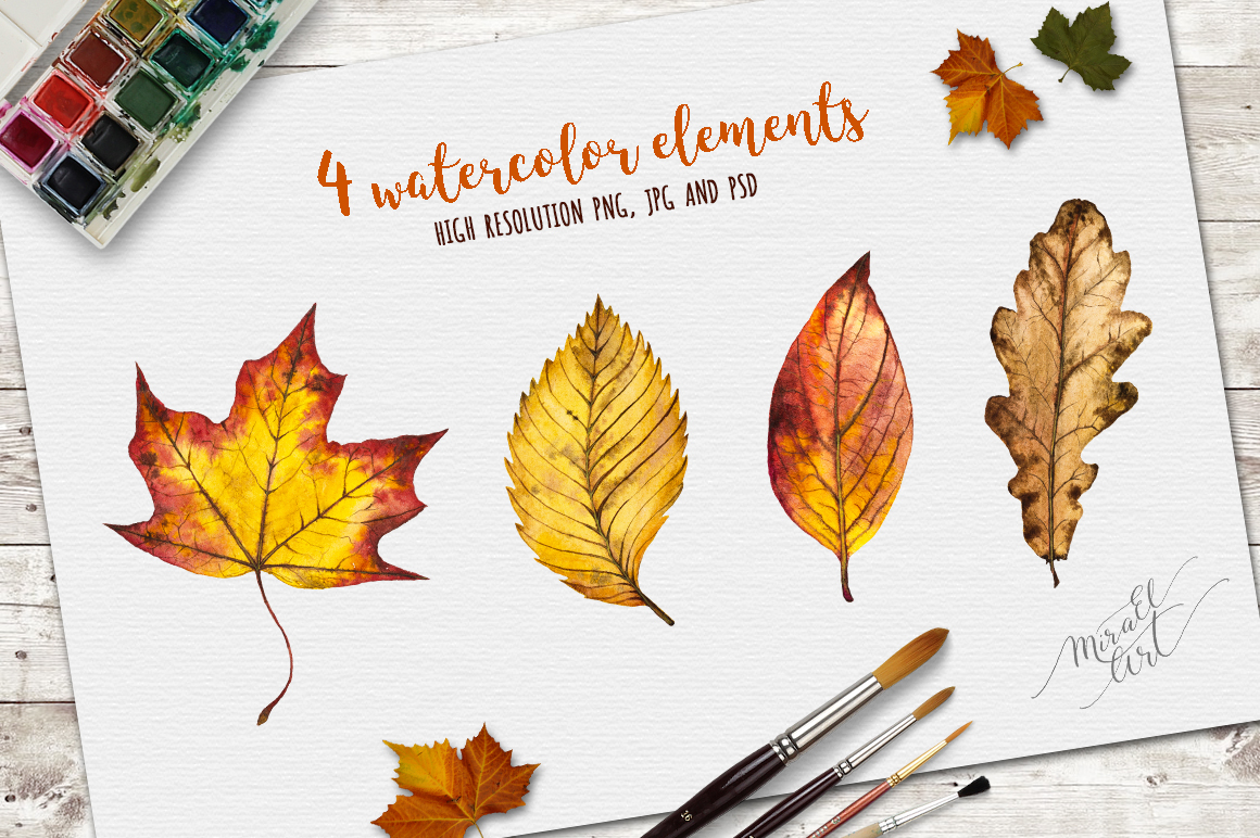 Watercolor autumn leaves Watercolor autumn leaves
