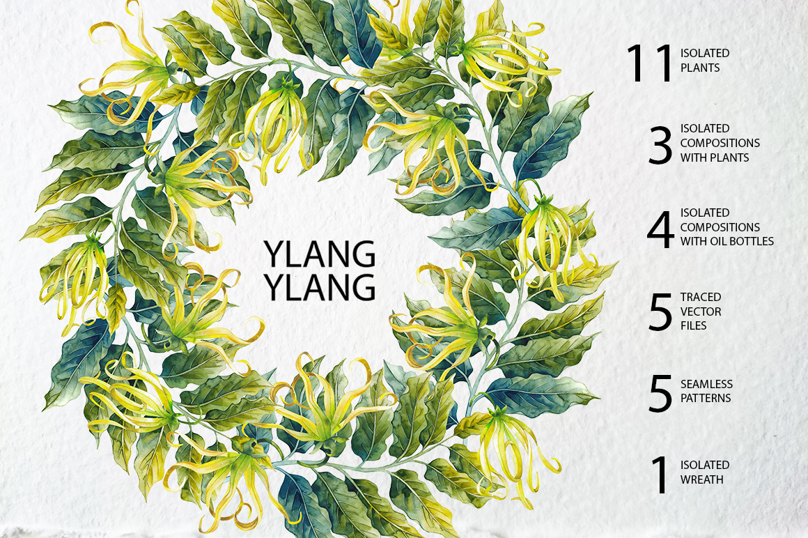 Watercolor Ylang Ylang collection Watercolor Ylang Ylang collection